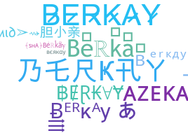 Biệt danh - Berkay