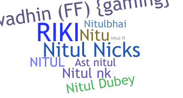 Biệt danh - Nitul