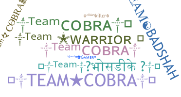 Biệt danh - TeamCobra