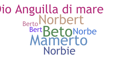 Biệt danh - Norberto