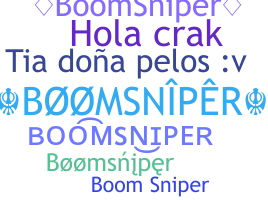 Biệt danh - BoomSniper
