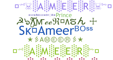 Biệt danh - Ameer