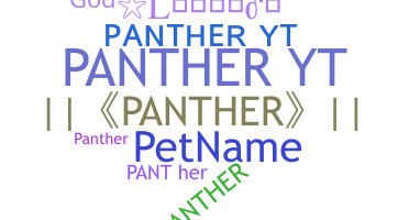 Biệt danh - PantherYT