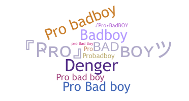 Biệt danh - ProBadboy