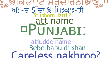 Biệt danh - Punjabi