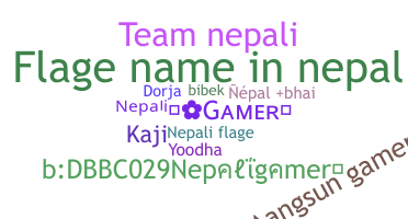 Biệt danh - Nepaligamer