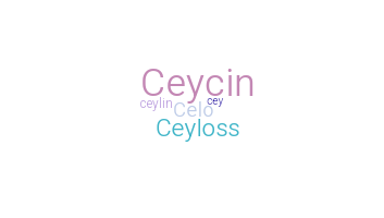 Biệt danh - Ceylin