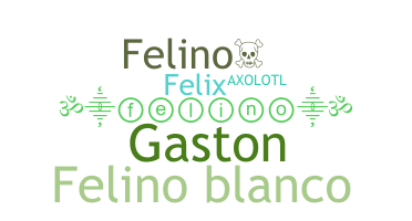 Biệt danh - Felino