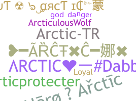 Biệt danh - Arctic