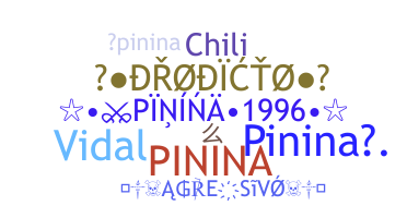 Biệt danh - Pinina