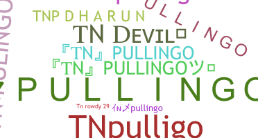 Biệt danh - TNpullingo