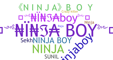 Biệt danh - NinjaBoy