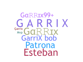 Biệt danh - Garrix