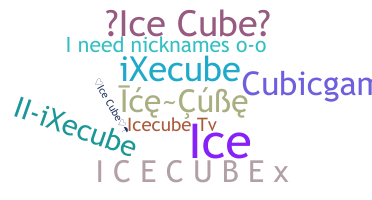 Biệt danh - icecube