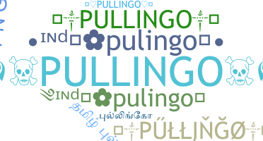 Biệt danh - Pullingo