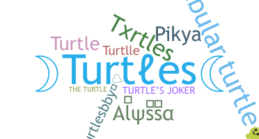Biệt danh - Turtles