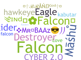 Biệt danh - Falcons